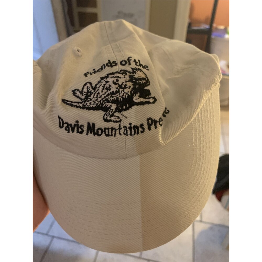 Embroidered Iguana,Friends of the Davis Mountains Preserve Beige Adjustable Hat